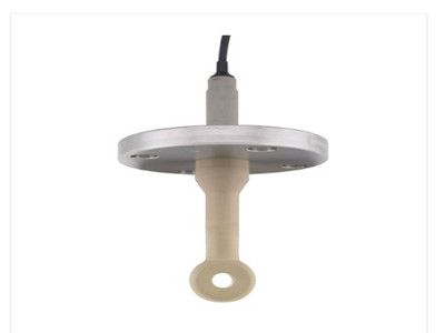Endress + Hauser Digital conductivity sensor Indumax CLS50D New & Original With very Competitive price and One year Warranty